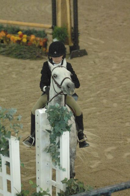 142-NorthwindJustBeMine-CarolineHuckabay-LegacyCup-5-13-07-DeRosaPhoto.jpg