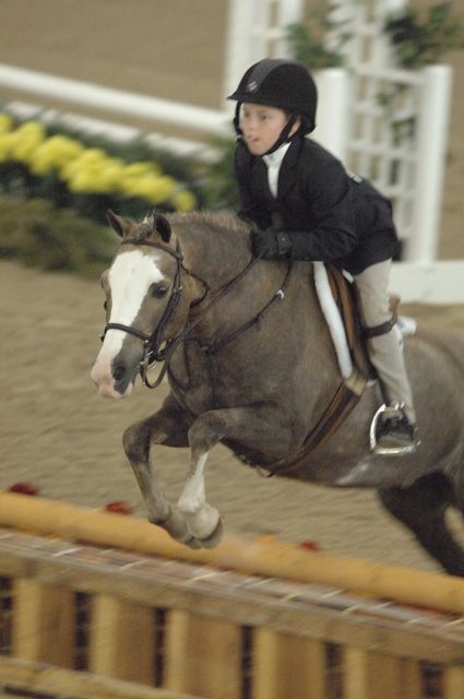006-Dawn'sEarlyLight-MarthaIngram-LegacyCupCup-PnyHtrGoRnd-5-12-07-DeRosaPhoto.jpg