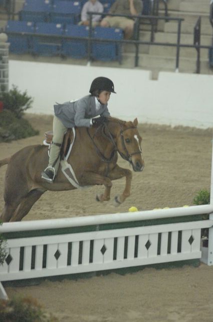 013-DearMeLittleWilly-KellyArani--LegacyCupCup-PnyHtrGoRnd-5-12-07-DeRosaPhoto.jpg