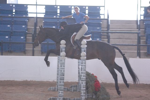 071-AlmostMajic-TammyProvost-LegacyCup-Pro3-5-10-07-DeRosaPhoto.jpg