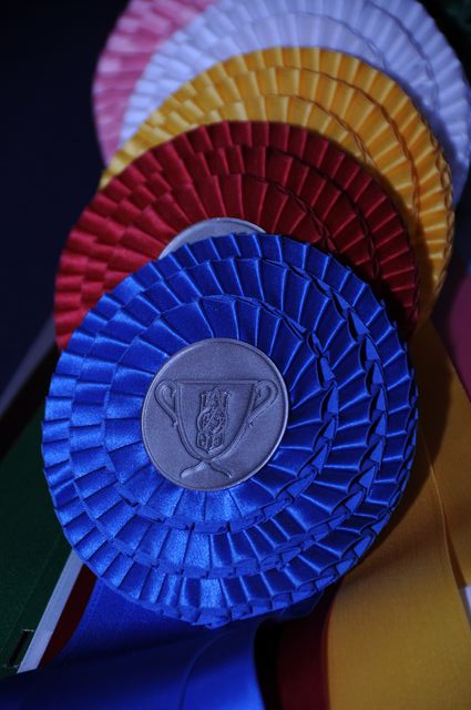 444-LegacyCup-Pro3GoRoundAwards-5-9-08-DeRosaPhoto.jpg