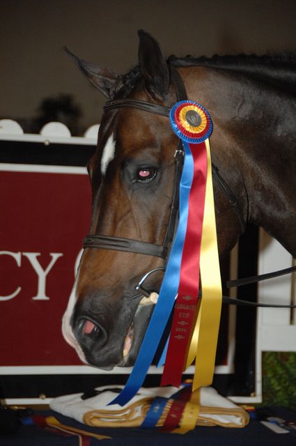 1794-NorthShore-EmilyWygod-LegacyCup-NonPro3'FinalsAwards-5-16-08-DeRosaPhoto.JPG