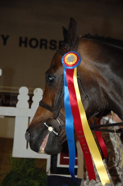 1795-NorthShore-EmilyWygod-LegacyCup-NonPro3'FinalsAwards-5-16-08-DeRosaPhoto.JPG