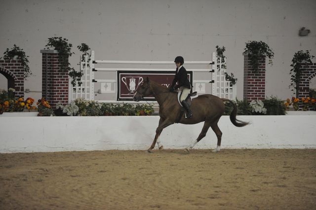 1402-ForgetParis-WendyLewis-LegacyCup-NonPro3'-5-15-08-DeRosaPhoto.jpg