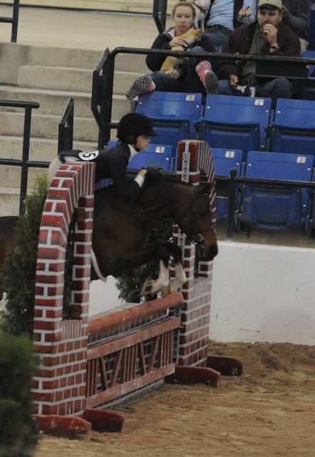 2119-FarFromHome-LuluFarish-LegacyCup-PonyFinals-5-17-08-DeRosaPhoto.jpg