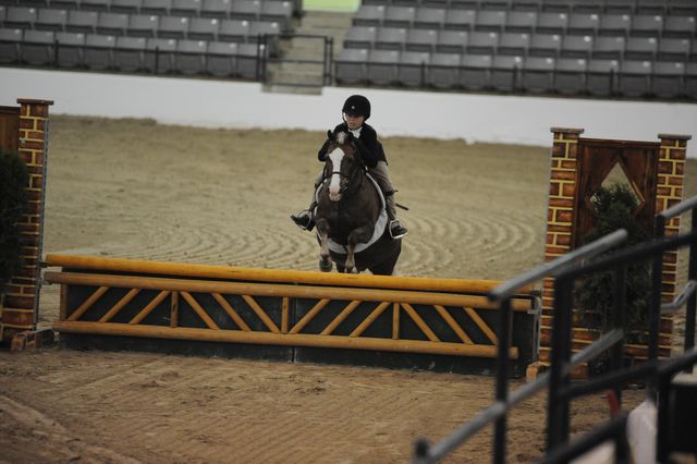 2131-ClovercroftsBodaciousBabe-MarthaIngram-LegacyCup-PonyFinals-5-17-08-DeRosaPhoto.jpg