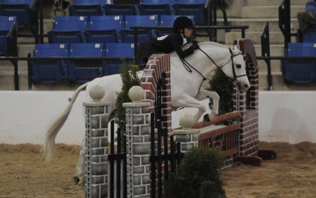 2180-PartyTillDawn-MarthaIngram-LegacyCup-PonyFinals-5-17-08-DeRosaPhoto.jpg
