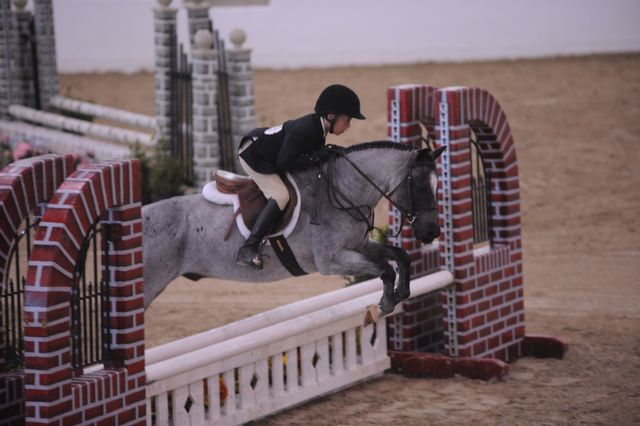 793-BrittanasLittlePrince-PaulineCook-LegacyCup-PonyHunterGoRound-5-10-08-DeRosaPhoto.jpg