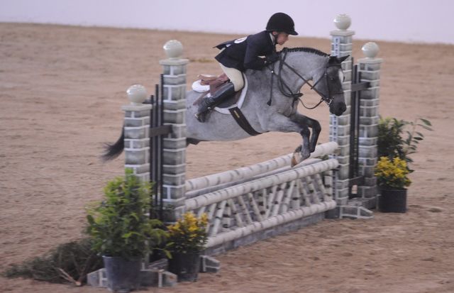 794-BrittanasLittlePrince-PaulineCook-LegacyCup-PonyHunterGoRound-5-10-08-DeRosaPhoto.jpg