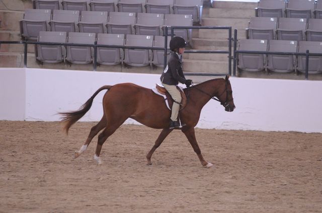 846-AllAboutMe-MeredithDarst-LegacyCup-PonyHunterGoRound-5-10-08-DeRosaPhoto.jpg