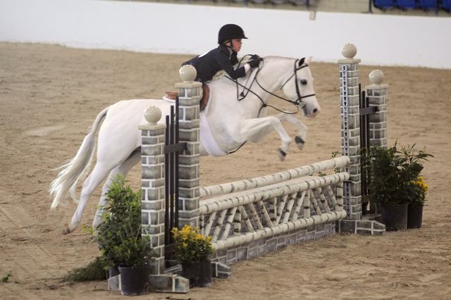 851-PartyTillDawn-MarthaIngram-LegacyCup-PonyHunterGoRound-5-10-08-DeRosaPhoto.jpg