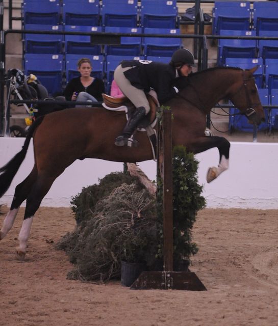 261-Momentus-TammyProvost-Pro3'6GoRound-LegacyCup-5-9-08-DeRosaPhoto.jpg