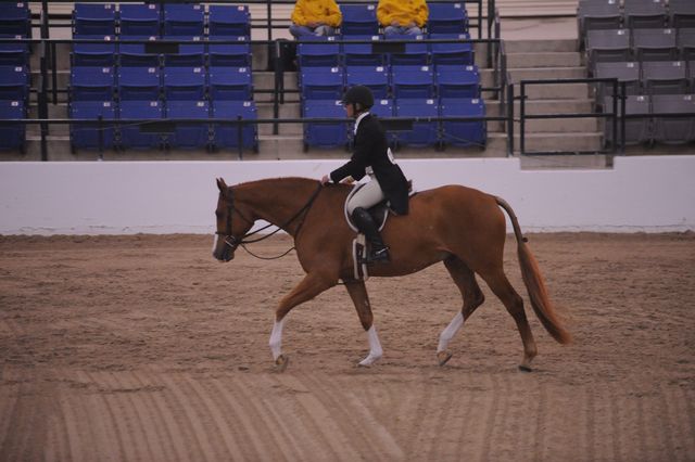 703-PapillonRouge-McKrellPainter-LegacyCup-Pro3'Finals-5-9-08-DeRosaPhoto.JPG