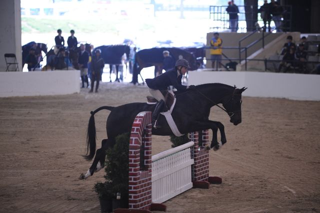 047-Nobu-EmilyWilliams-Pro3'GoRound-LegacyCup-5-8-08-DeRosaPhoto.jpg