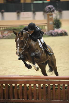 10-3-08-CC08-262-DeRosaPhoto.jpg