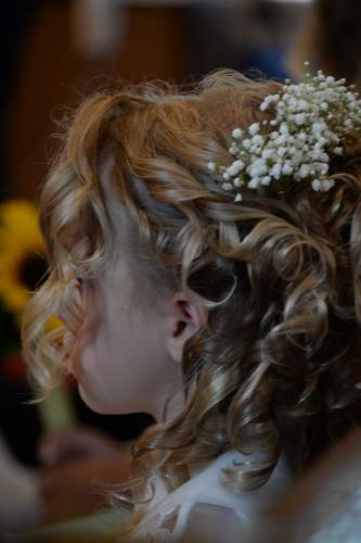 Beth1 Wedding-7-28-13-9888-DDeRosaPhoto