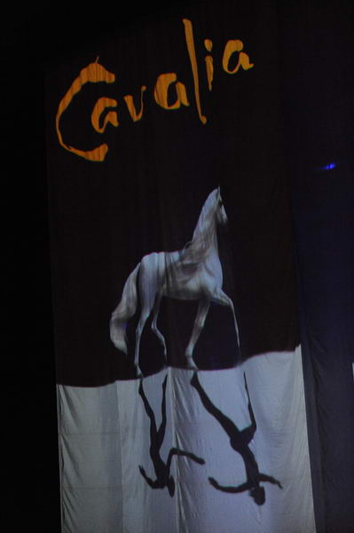 Cavalia-6-8-10-002-DDeRosaPhoto.jpg