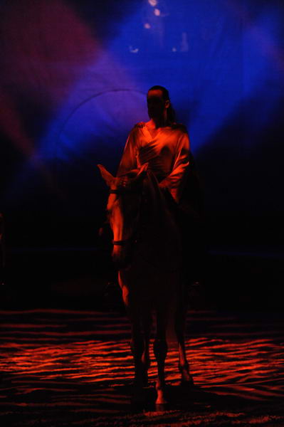 Cavalia-6-8-10-006-DDeRosaPhoto.jpg