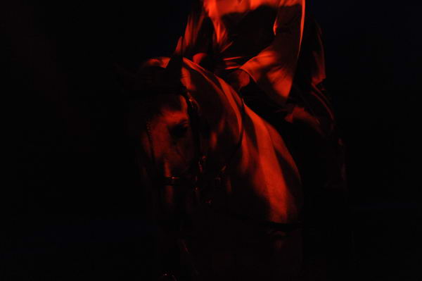 Cavalia-6-8-10-010-DDeRosaPhoto.jpg