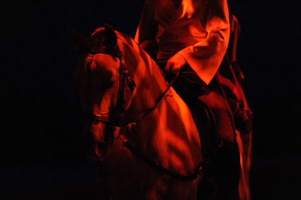 Cavalia-6-8-10-011-DDeRosaPhoto.jpg