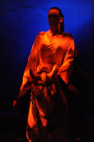 Cavalia-6-8-10-013-DDeRosaPhoto.jpg