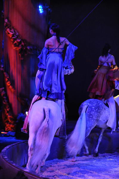 Cavalia-6-8-10-016-DDeRosaPhoto.jpg