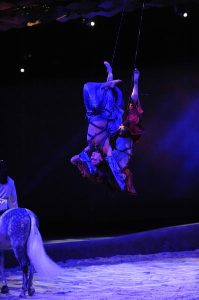 Cavalia-6-8-10-068-DDeRosaPhoto.jpg