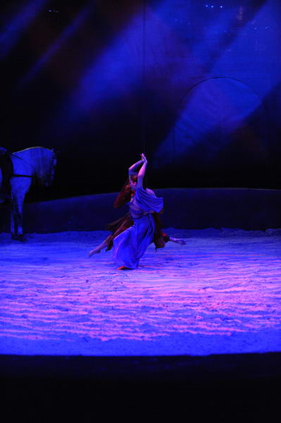 Cavalia-6-8-10-076-DDeRosaPhoto.jpg