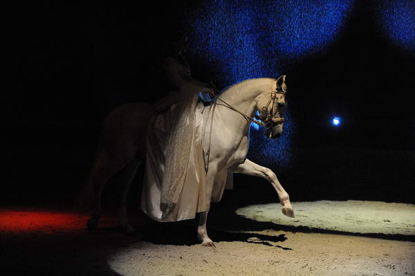 Cavalia-6-8-10-086-DDeRosaPhoto.jpg