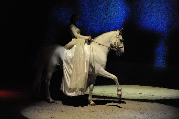 Cavalia-6-8-10-087-DDeRosaPhoto.jpg