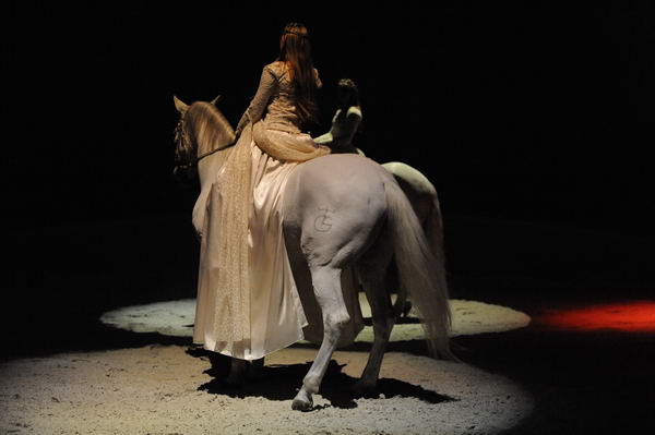 Cavalia-6-8-10-091-DDeRosaPhoto.jpg