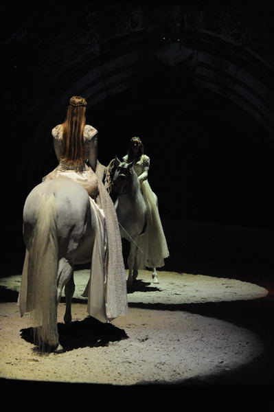 Cavalia-6-8-10-092-DDeRosaPhoto.jpg