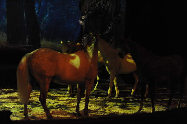 Cavalia-6-8-10-222-DDeRosaPhoto.jpg