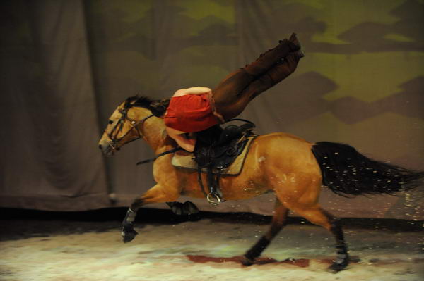Cavalia-6-8-10-330-DDeRosaPhoto.jpg