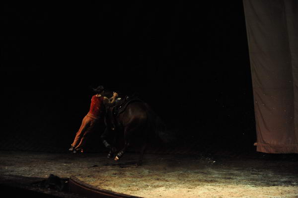 Cavalia-6-8-10-331-DDeRosaPhoto.jpg