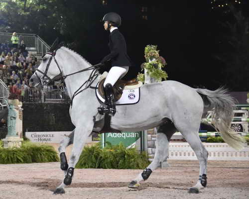 CPHS-GP-9-18-14-1191-GeorginaBloomberg-Juvina-DDeRosaPhoto-crop