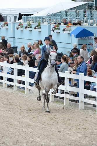 Devon-Saddlebreds-5-29-14-6586-DDeRosaPhoto