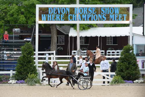 Devon-Saddlebreds-5-29-14-6632-DDeRosaPhoto