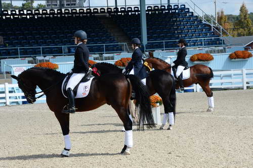 Dressage-at-Devon-9-27-13-4657-DDeRosaPhoto