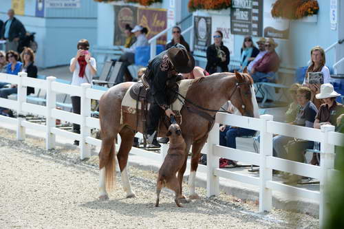 Dressage-at-Devon-9-27-13-4689-DDeRosaPhoto