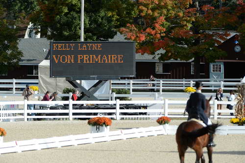 Dressage-at-Devon-9-27-13-4801-DDeRosaPhoto
