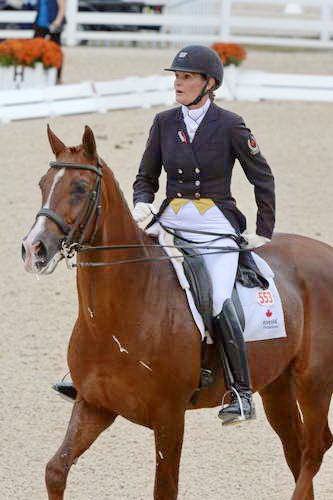 Dressage-at-Devon-9-27-13-4891-DDeRosaPhoto