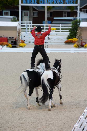 Dressage-at-Devon-9-27-13-5008-DDeRosaPhoto