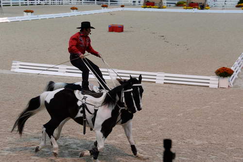 Dressage-at-Devon-9-27-13-5018-DDeRosaPhoto