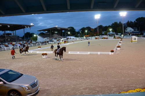 Dressage-at-Devon-9-27-13-5029-DDeRosaPhoto