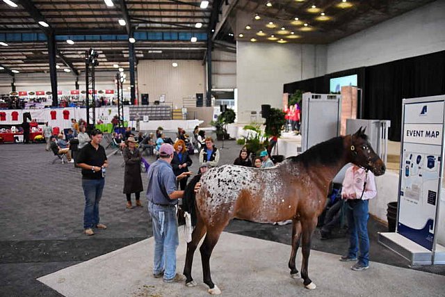 EQUITANA-10-03-21-4706-DDEROSAPHOTO