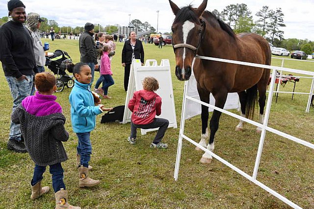 MARLEY'S ROUND UP-4-9-22-8168-DDeRosaPhoto