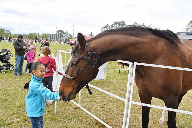 MARLEY'S ROUND UP-4-9-22-8176-DDeRosaPhoto