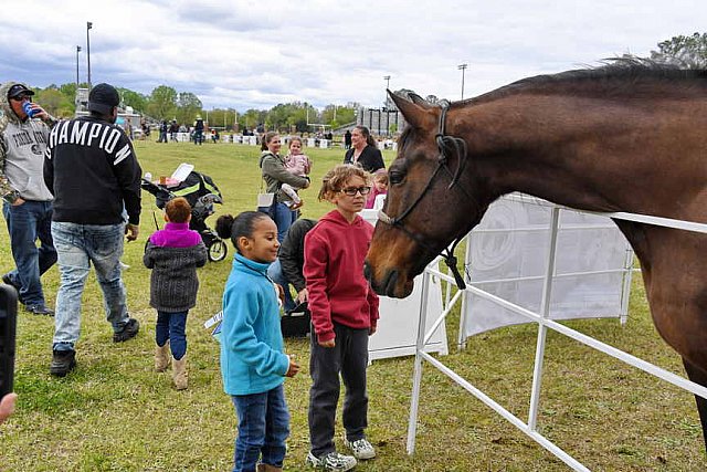 MARLEY'S ROUND UP-4-9-22-8182-DDeRosaPhoto