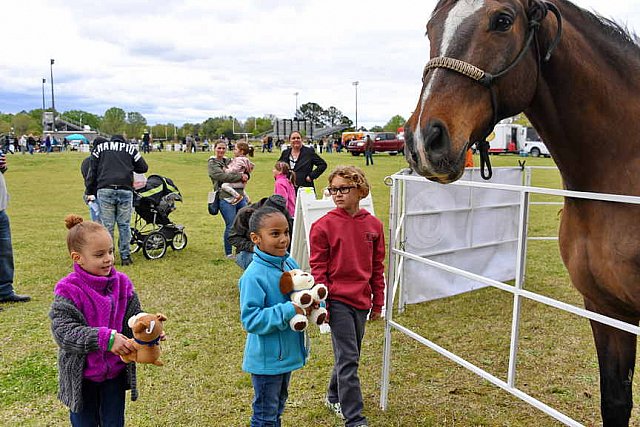 MARLEY'S ROUND UP-4-9-22-8187-DDeRosaPhoto